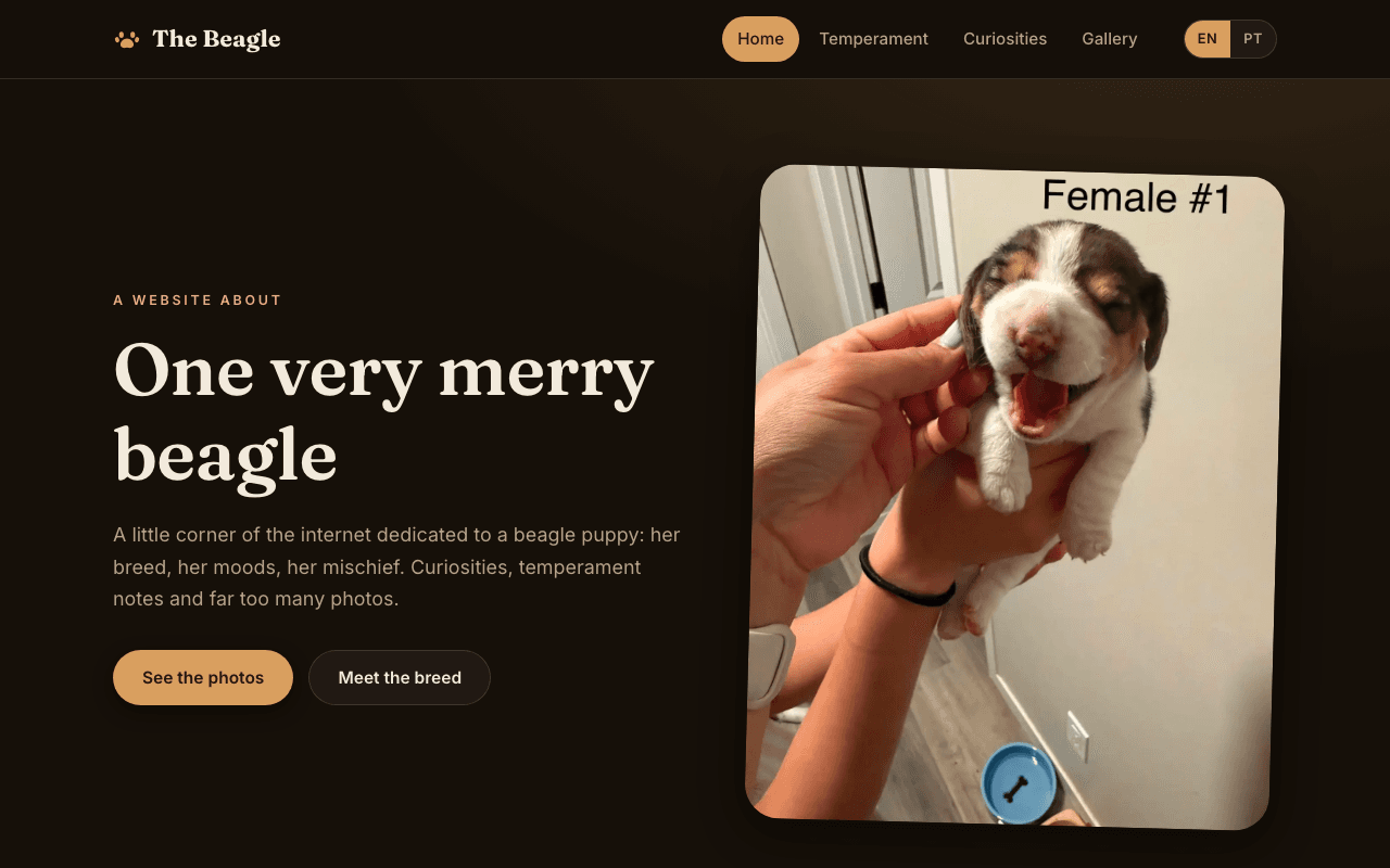 Screenshot of The Beagle